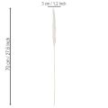 Flores secas de capim-dos-pampas branqueadas, 70 cm, 15 unidades | Floristik24.pt