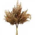 Floristik24 Grama artificial de pampa marrom decoração seca grama ornamental 35cm 4 unidades