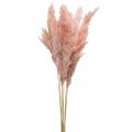 Floristik24 Erva dos pampas seca rosa floricultura seca 65-75cm 6pcs em cacho