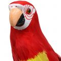 Floristik24 Deco papagaio vermelho 44cm