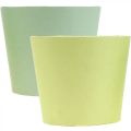 Floristik24 Cachepot de papel, plantador, vaso de ervas azul/verde Ø15cm H13cm 4pcs