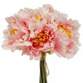 Floristik24 Paeonia peônia flor artificial Peonie rosa Ø6cm 28cm 7uds