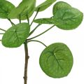 Floristik24 Peperomia Planta verde artificial com folhas 30cm
