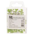 Alfinetes florais com cabeça de pérola verde, uso versátil, Ø4mm, 40mm, 150 peças | Floristik24.pt