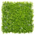 Floristik24 Tapete de buxo artificial 55x55 cm para decoração de parede