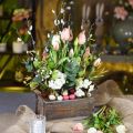 Floristik24 Floreira, caixa decorativa, caixa de madeira com alças, caixa de artesanato Shabby Chic L25cm A10cm
