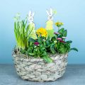 Floristik24 Floreira em feno, cesto decorativo, cesto para plantas, cesto para flores conjunto oval com 3