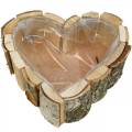 Floristik24 Vaso, tigela de madeira em forma de coração, vaso de madeira de bétula, tigela de coração 27 × 28cm