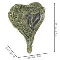 Coração de planta natural para arranjos florais com folha metálica, 25 cm | Floristik24.pt