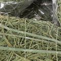 Coração de planta natural para arranjos florais com folha metálica, 25 cm | Floristik24.pt