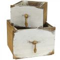 Floristik24 Gaveta de madeira caixa de planta Shabby Chic 14/19cm conjunto de 2