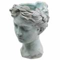Floristik24 Busto de cabeça de planta pedra fundida H27cm