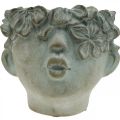 Floristik24 Cabeça de planta, busto decorativo, cabeça de flor, decoração de concreto, aparência antiga Alt.18cm