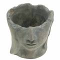 Floristik24 Busto de cabeça de planta feito de concreto para plantio cinza H14.5cm 2pcs