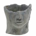 Floristik24 Busto de cabeça de planta feito de concreto para plantio cinza H14.5cm 2pcs