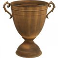Floristik24 Vaso de planta com aparência de ferrugem vaso de metal Ø22,5cm Alt.32,5cm
