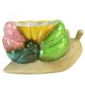 Floristik24 Vaso decorativo de caracol em cerâmica colorido 19cmx8,5cmx11cm