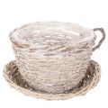 Floristik24 Cesta decorativa com pires, grande, para decoração de mesa, 34 cm