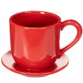 Xícara decorativa grande com pires, ideal para usar como vaso de plantas, 17 cm | Floristik24.pt