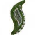Floristik24 Plantador de musgo e cones verdes ondulados, branco lavado 41 × 15cm