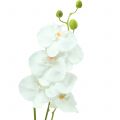 Floristik24 Orquídea Phalaenopsis branco artificial 80cm