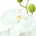 Floristik24 Orquídea Phalaenopsis branco artificial 80cm