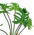 Floristik24 Planta de filodendro verde artificial 58cm