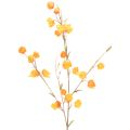 Floristik24 Planta artificial de lanterna chinesa, ramo de fisális com flores, 95 cm