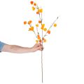 Planta artificial de lanterna chinesa, ramo de fisális com flores, 95 cm | Floristik24.pt