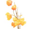 Planta artificial de lanterna chinesa, ramo de fisális com flores, 95 cm | Floristik24.pt