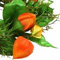 Coroa de Physalis artificial, laranja e verde, Ø28cm, decoração de outono | Floristik24.pt