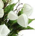 Floristik24 Physalis bush branco 30cm
