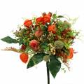 Floristik24 Bouquet de outono physalis 26 cm