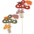 Floristik24 Flor plugue cogumelo deco ouriço decoração de outono 8cm 12uds