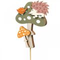 Floristik24 Flor plugue cogumelo deco ouriço decoração de outono 8cm 12uds