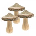 Floristik24 Casca de cogumelo de madeira e glitter deco cogumelos madeira A 8,5 cm 4 unidades