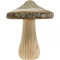 Floristik24 Casca de cogumelo de madeira e glitter deco cogumelos madeira A11cm 3uds