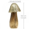 Floristik24 Madeira decorativa de metal cogumelo dourado, display decorativo natural de 13,5 cm