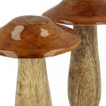 Floristik24 Madeira de cogumelo manga marrom, decoração de mesa natureza outono Ø9cm Alt.12cm 2pcs