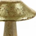Floristik24 Cogumelo manga madeira ouro, cogumelos naturais deco grande Ø12cm H15cm 2pcs