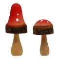 Floristik24 Cogumelos de madeira misturam 5,5cm - 8cm 8pcs