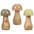 Floristik24 Cogumelos de madeira cogumelos decorativos madeira bege, verde Ø5cm Alt.10,5cm 6 unidades