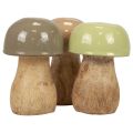 Floristik24 Cogumelos de madeira cogumelos decorativos madeira bege, verde Ø5cm 7,5cm 12 unidades