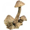 Floristik24 Grupo cogumelo, madeira paulownia, decoração de outono, escultura em madeira Alt.33cm C30cm