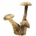 Floristik24 Cogumelos madeira de ameixa Alt.27cm