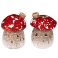 Floristik24 Decoração de casinha de cogumelos: Miniaturas de cogumelo Amanita muscaria (6 cm, 2 unidades)