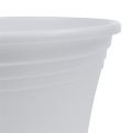 Floristik24 Pote de plástico “Irys” branco Ø15cm Alt.13cm, 1ud