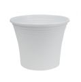Floristik24 Pote de plástico “Irys” branco Ø19cm Alt.16cm, 1ud