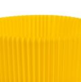 Floristik24 Punhos plissados amarelo 12,5cm 100p.