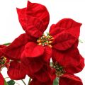Floristik24 Flor de haste vermelha de poinsétia artificial 3 flores 85 cm
